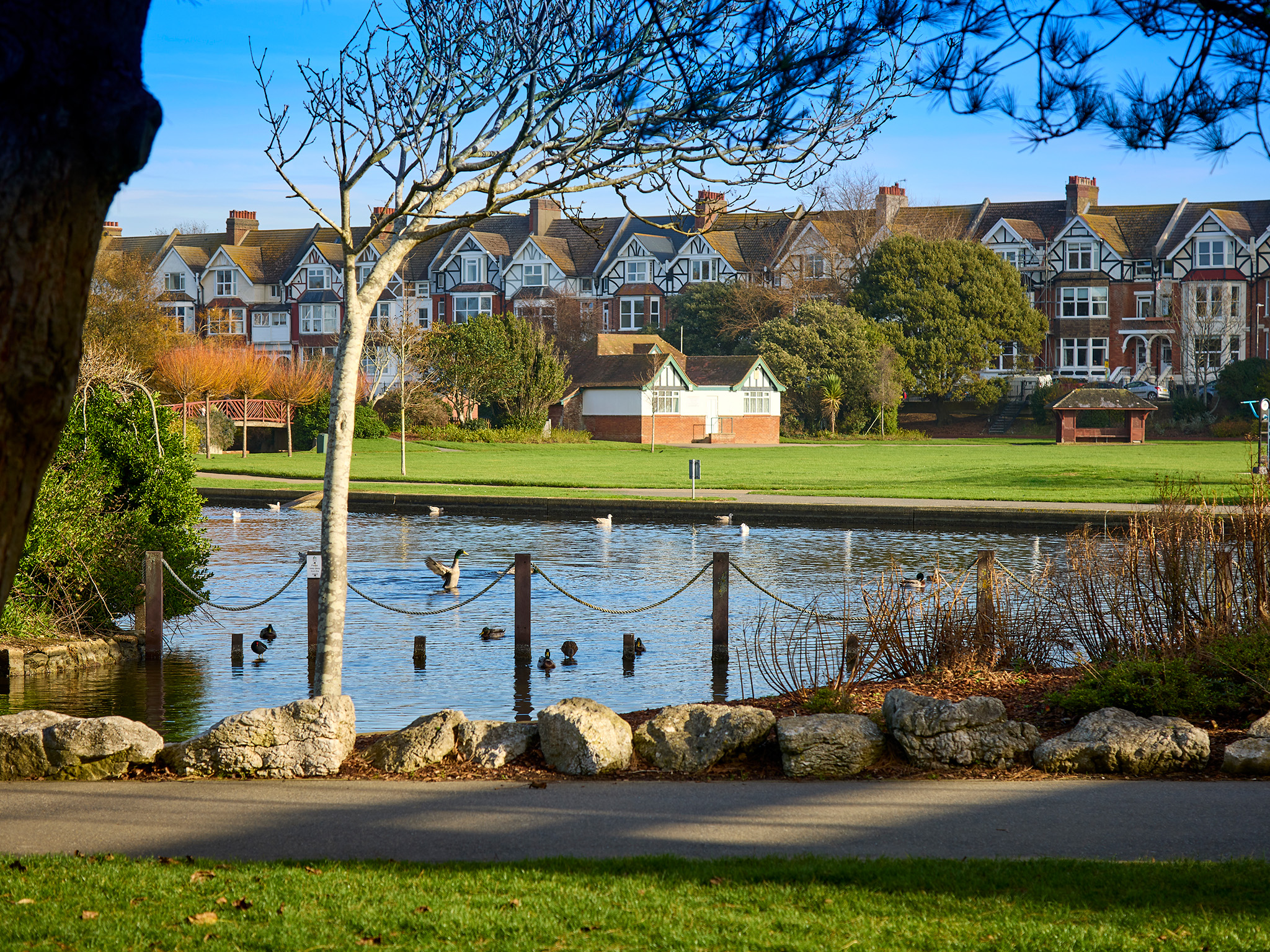 The Oaks | Premium new homes for sale in Bexhill-on-Sea | Charles