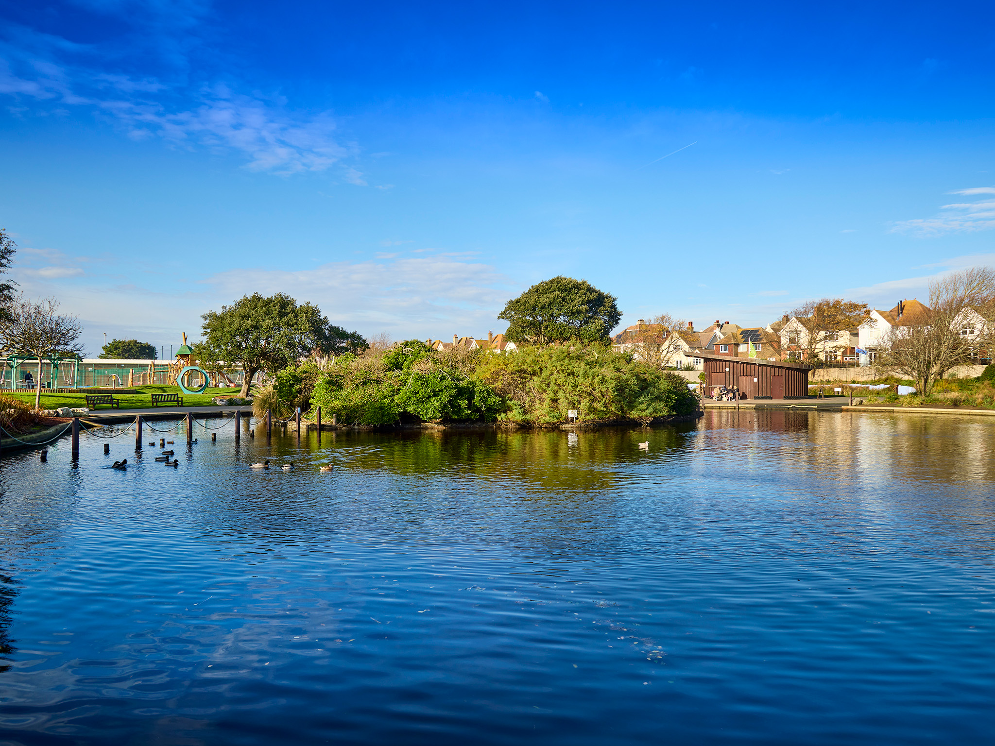 The Oaks | Premium new homes for sale in Bexhill-on-Sea | Charles