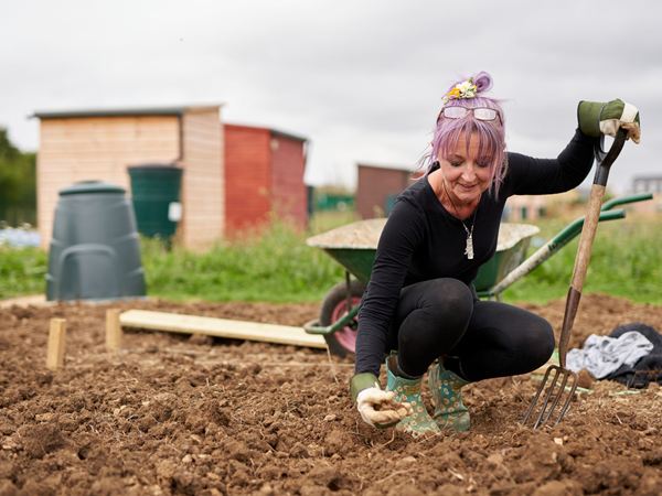 A woman with purple hair bending down to tend to an allotment.