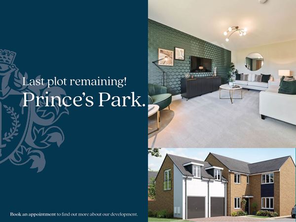 princes park last plot remaining banner