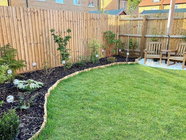 A garden in a new build home, with luscious green grass and a bordered planting area with evergreen plants.